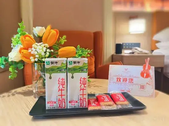 Шэньчжэнь: Vienna Hotel (Longhua Yicheng Center Yousong Branch))