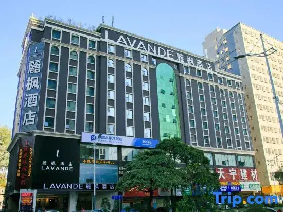 Шэньчжэнь: Lavande Hotel (Shenzhen North Railway Station)