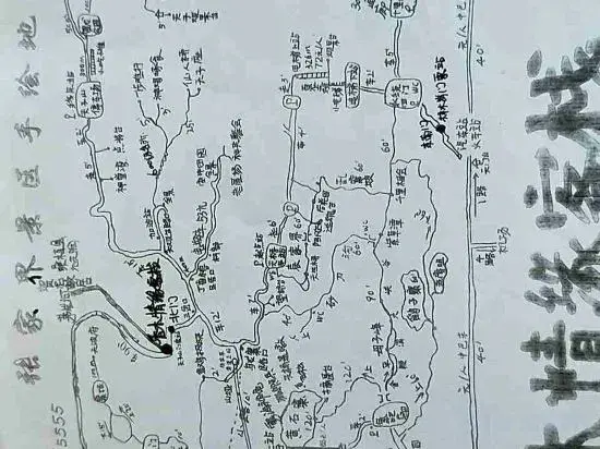 Чжанцзяцзе: Xiangmu Qingyuan Inn
