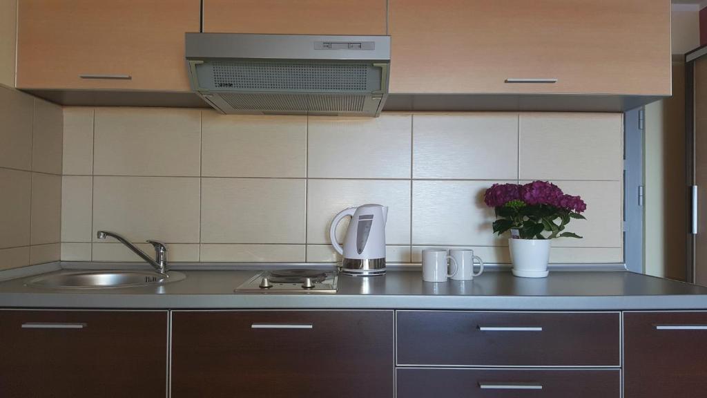 Пржно: Apartments Rino Lux