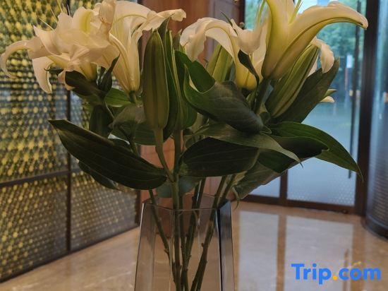 Цзясинь: Orange Crystal Jiaxing Nanhu Hotel