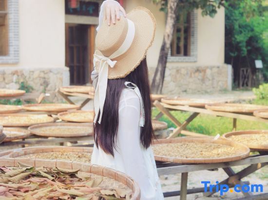 Гуанчжоу: Guangzhou Shijianxiangjing Qixidi Tianxiangli Hotel