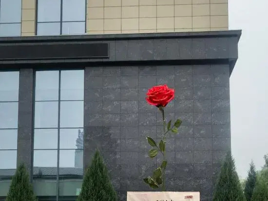 Баодин: Baoding Xingrui Hot Spring Hotel