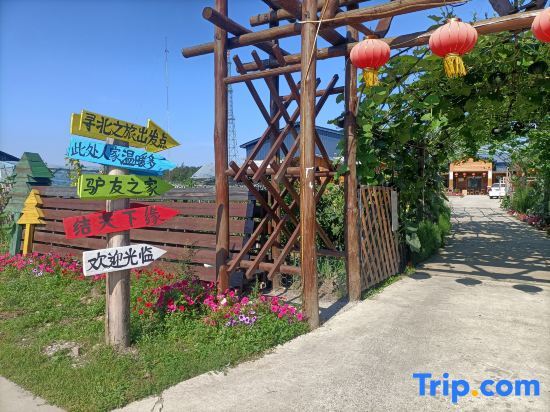 Бэйцзи: Arctic Friends Home International Youth Hostel