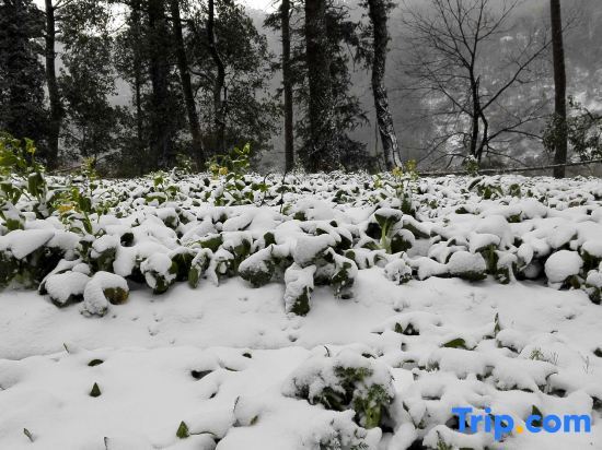Хэнъян: Mountain and Courtyard Homestay
