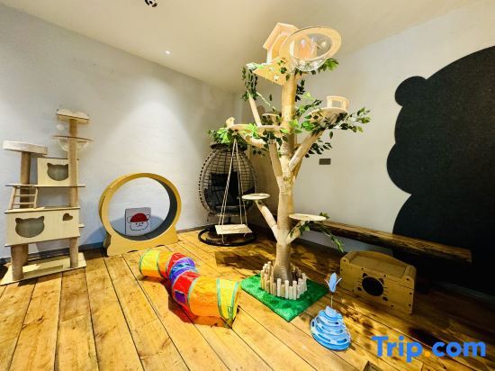 Чэнду: Qingcheng Houshan ·Yueting Lanshe Hot Spring Homestay
