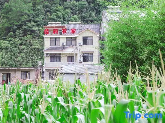Jiali Farmhouse — фото 1