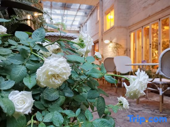 Шэньчжэнь: No.6 Garden Villa Hotel (Shekou Sea-world)