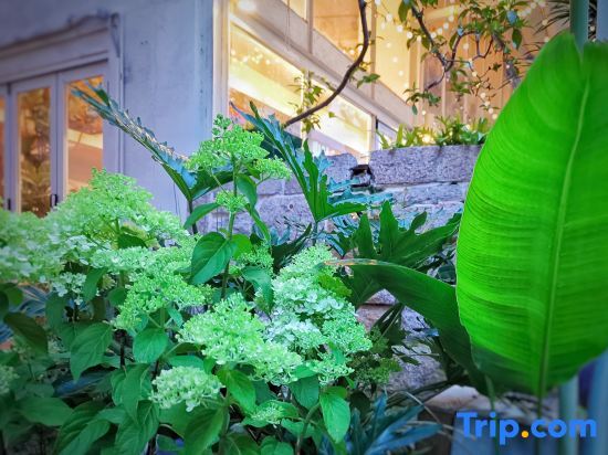 Шэньчжэнь: No.6 Garden Villa Hotel (Shekou Sea-world)