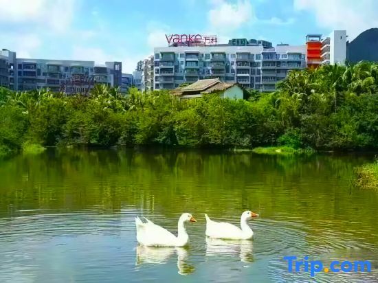 Санья: Yuesi Holiday Apartment (Hailv Duty Free City Branch)