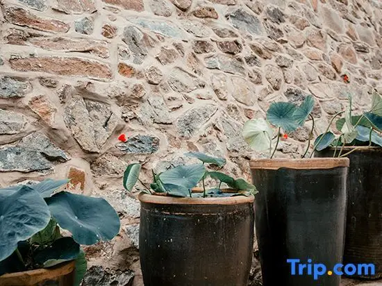 Пекин: Shao's Courtyard Hostel
