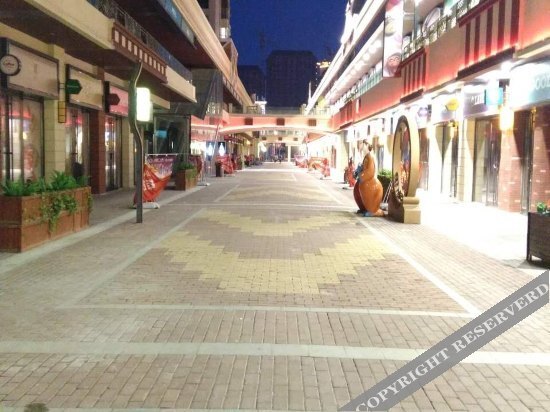 Цзямусы: Yushang Apartment (Jiamusi Wanda Plaza)