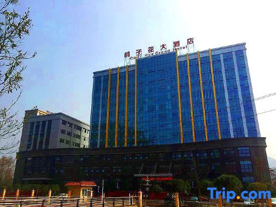 Яань: Gezi Hua Grand Hotel