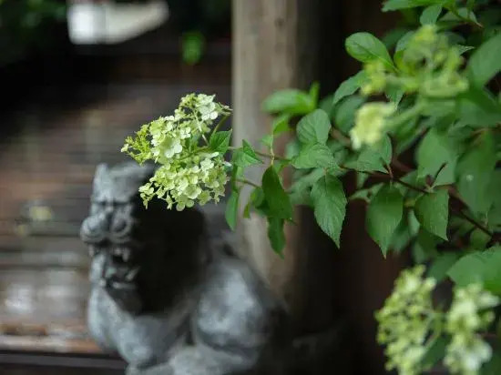 Ханчжоу: Xitang Hostel