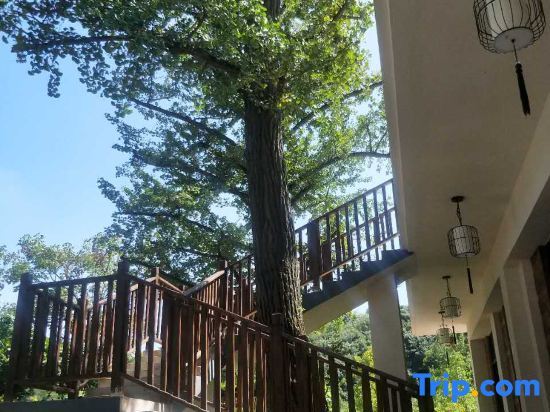 Хучжоу: Wangya Qianyi Hostel