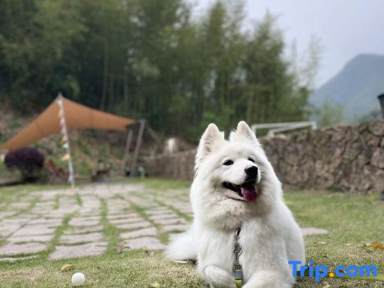 Хучжоу: Moganshan Zan Designer Boutique Homestay