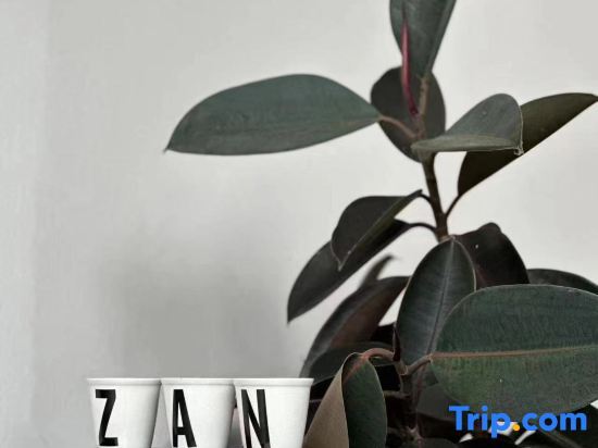 Хучжоу: Moganshan Zan Designer Boutique Homestay