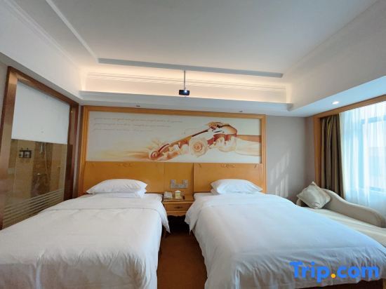 Фанчэнган: Vienna Hotel (Fangchenggang Fangcheng)