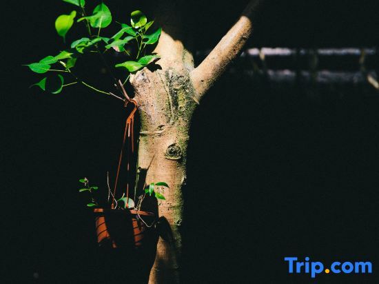 Гуанчжоу: Jiangnanxi Homestay (Guangzhou Panyu Shanghefang)