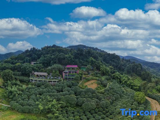 Чунцин: Taole Forest Hostel
