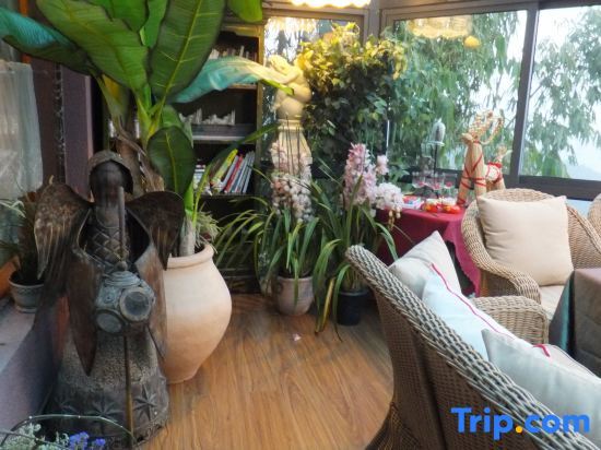 Чунцин: Taole Forest Hostel