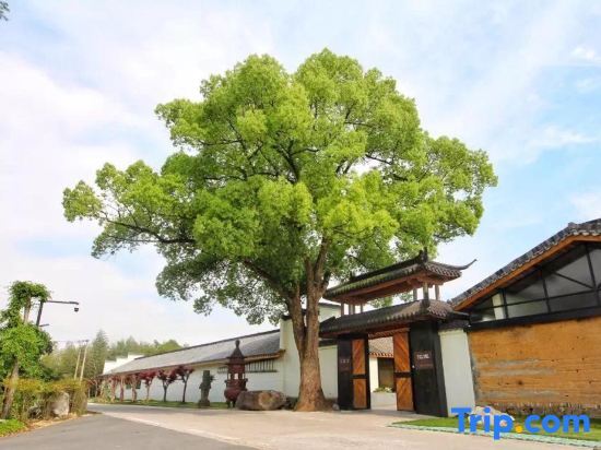 Ханчжоу: Huacheng Yichu Zen Culture Boutique Hotel (Hangzhou Jingshan)