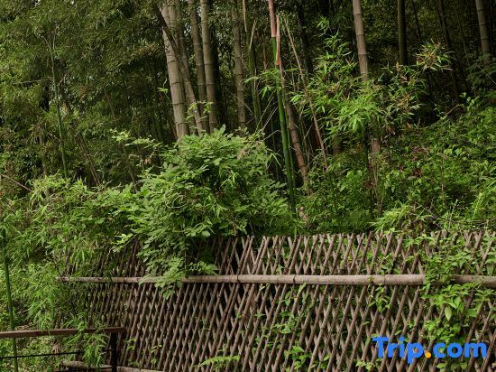Хучжоу: Listen to Jian · Moganshan Chun Mountain View B&B
