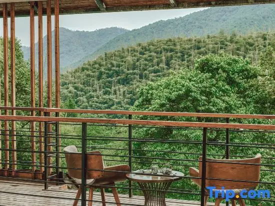 Хучжоу: Listen to Jian · Moganshan Chun Mountain View B&B