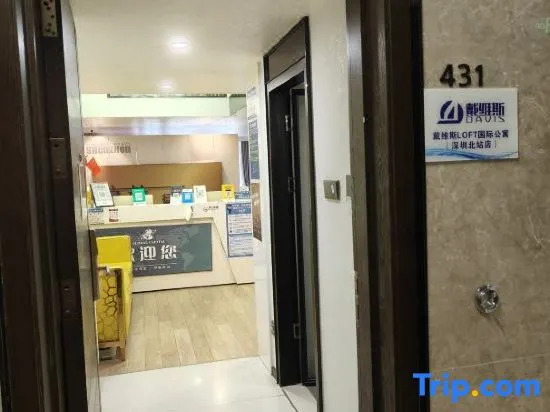 Шэньчжэнь: Davis International Apartment (Shenzhen North Station Branch)