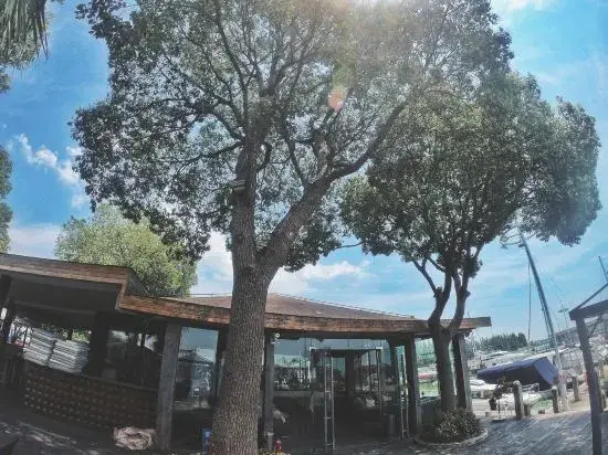 Rhine Dream Yacht Club — фото 1