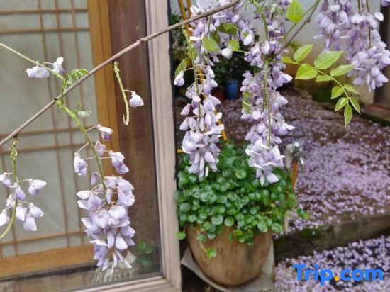 Цзиндэчжэнь: Zhijue Shanfang Hostel
