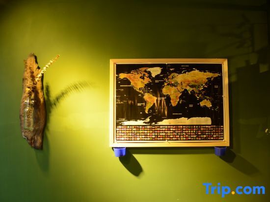 Xidu International Youth Hostel — фото 1