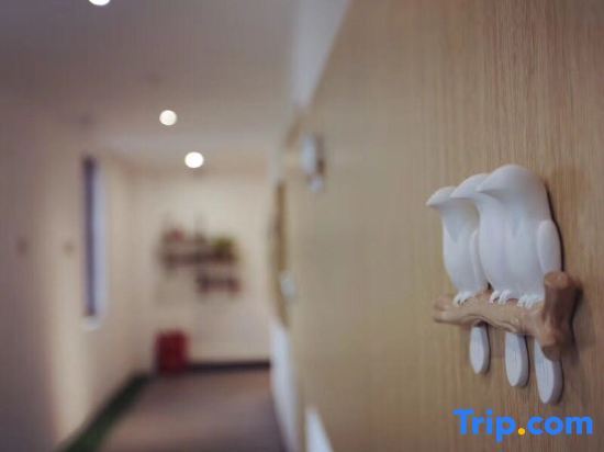 Шанхай: Mishe Jing Leisure Garden Homestay