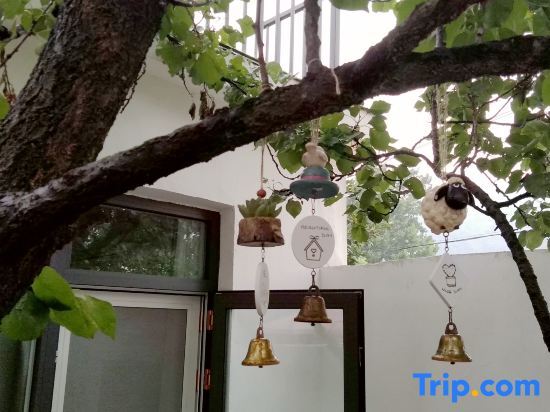 Ляньюньган: Lianyungang flower and fruit homestay