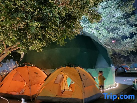 Dongguan Bonsai Garden Parent-child RV Camp — фото 1