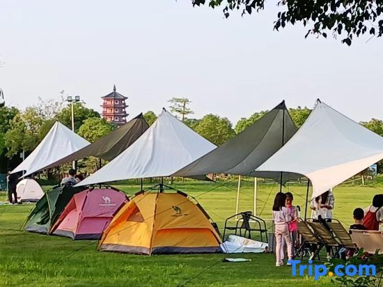Дунгуань: Dongguan Bonsai Garden Parent-child RV Camp