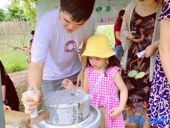Дунгуань: Dongguan Bonsai Garden Parent-child RV Camp