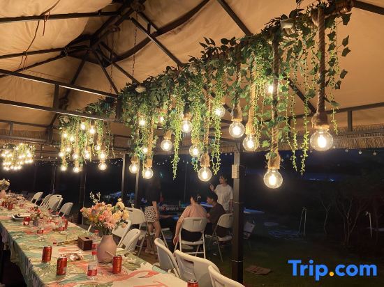 Дунгуань: Dongguan Bonsai Garden Parent-child RV Camp