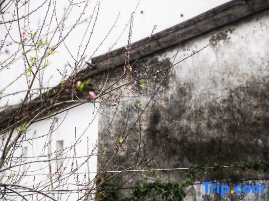 Шэньчжэнь: Me Town House