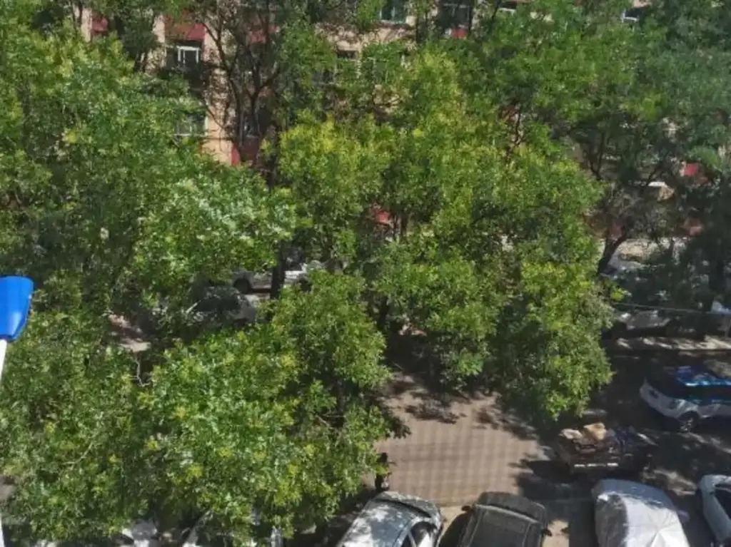 Тайюань: Taiyuan Mengjiasuo Boutique Hotel