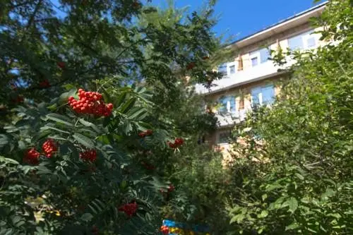 Красноярск: Hotel Tri Medvedya