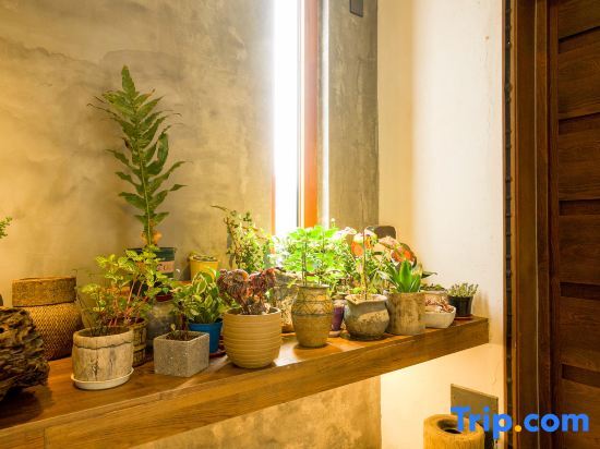Пекин: Ninan Shanju Private Hot Spring Homestay