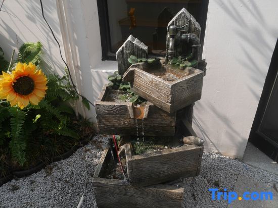 Шанхай: Shanghai   Dawuli Cat Garden Hotel