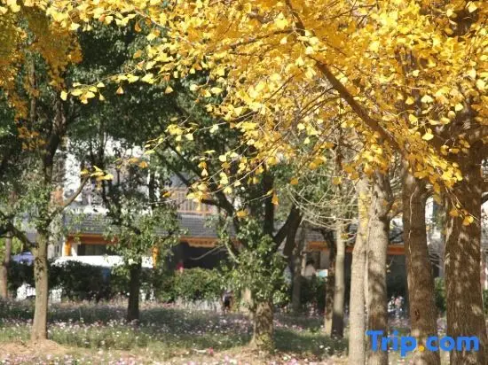 Tianyuan Inn — фото 1