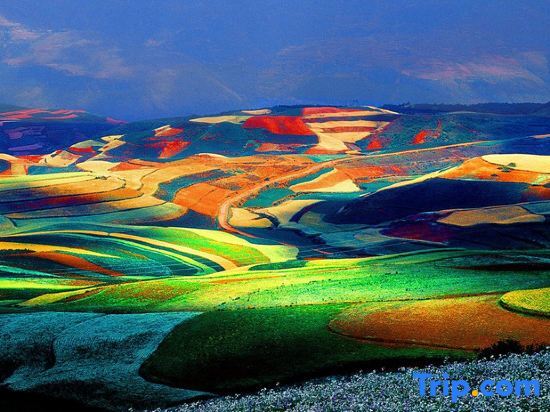 Куньмин: Red Land Warm Home Hostel