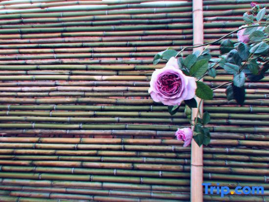 Нанкин: Nanjing Tangshan Garden Hot Spring homestay