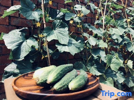 Нанкин: Nanjing Tangshan Garden Hot Spring homestay