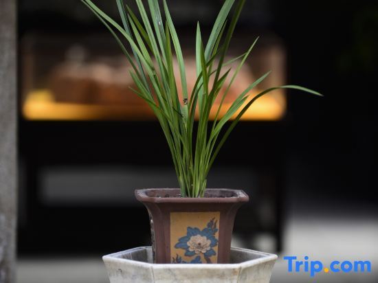 Хучжоу: The Fallen Flower Old House - Luxurious Garden Suites in Jiangnan Courtyard Style