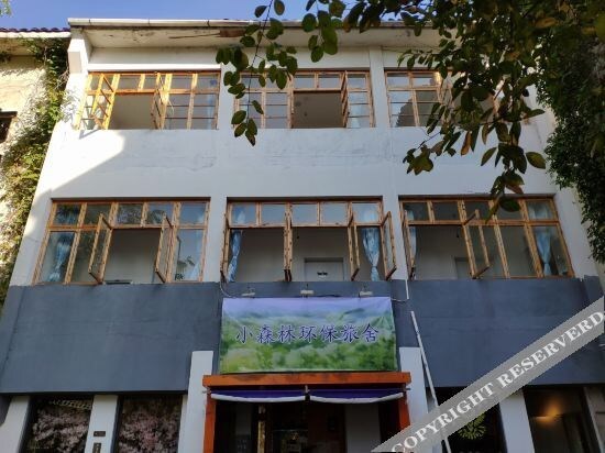 Шаоксинг: 小森林环保旅舍（绍兴鲁迅故里地铁站银泰城店）