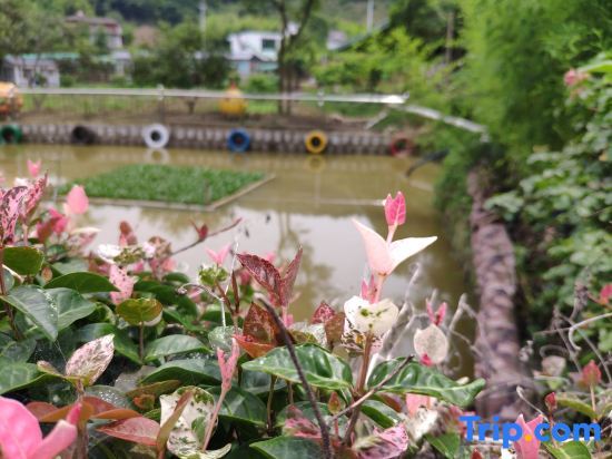 Yuyao Yijia Homestay (Yuyao Siming Lake Scenic Area) — фото 1